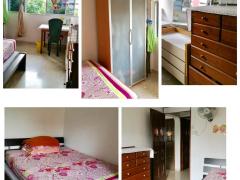 淡滨尼21街,安静整洁大普通房出租,生活交通方便,10月入住