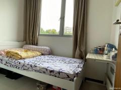 实龙岗公寓普通房$750. 11月20日后可入住,全屋不超3