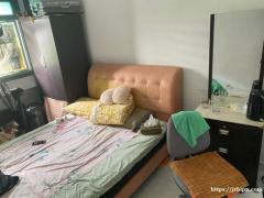 蔡厝港 大牌464 普通房出租 11月可入住