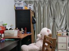 南洋理工大学旁普通房双人间一床位出租，限女生，中国人