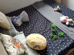 红线马里士他房源,科廷正下方,3户型房源+可煮+可报房屋地址