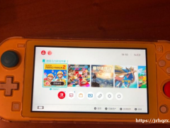 switch lite 宝可梦版 ，充电器，保护壳，宝可梦收