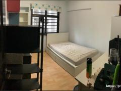 ❗❗好房出租❗❗金文泰Blk457 普通房出租 非二房东 近