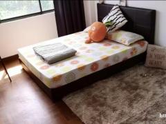 三地铁花拉公园/明地迷亚/劳明达超值大房 靠近SMU/NAF