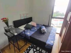 新加坡科廷大学对面三室三卫主人房出租