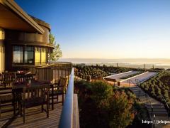 Hayward山顶门禁高档小区,全新装修主卧带独立卫生间