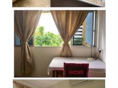 淡滨尼21街,安静整洁大普通房出租,生活交通方便,12月入住