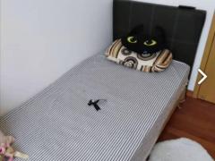 阿裕尼地铁旁，步行不到2分钟，单人房，双人房，主人房，包家具