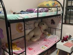 马里士他黄埔大道有一床位出租，女生马上可入住，报地址