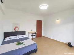 三地铁花拉公园/明地迷亚/劳明达超值大房 靠近SMU/NAF