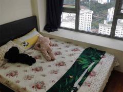 马里士他 近EASB 科廷大学 公寓单人间 限本月押金减免