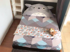 无中介费 波动巴西 阳台房 近斯坦福SMU KAPLAN