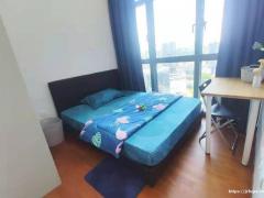 紫线花拉公园网红公寓普通房、无屋主、可煮＋可报地址