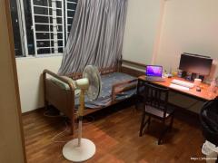 荷兰村高层普通房