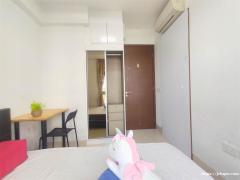 紫线 红线 绿线全岛1000多套房源，无房东＋可煮＋可报地址