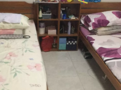 女孩，只要马来华人妹妹