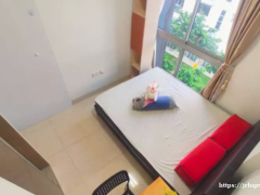 无中介费可2人 绿线Kallang加冷站 近PSB和JCU 