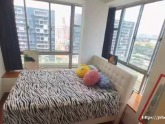 紫线波动巴西近地铁主人房、无屋主、可煮、可报地址！！