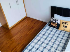 兀里地铁站 斯坦福国际学校旁边 公寓普通房 大飘窗 无屋主 