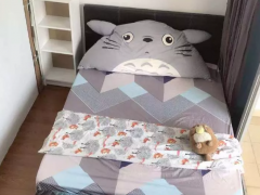 紫线波东巴西带阳台普通房、无屋主、可煮、可报地址