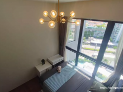 波东巴西地铁口 豪华公寓 无边泳池 落地大窗 可报地址 无屋