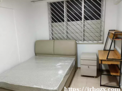 实龙岗大街 3 号 237