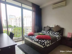 紫线花拉公园网红公寓主人房、无屋主、可煮＋可报地址