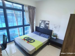 花拉公园 近SMU 地铁口豪华公寓 落地窗 超低价 带泳池健