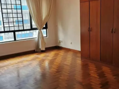 Woodleigh 兀里地铁站旁边 公寓主人房 限一人住 大