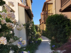 North San Jose/Milpitas新建4b3.5