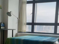 花拉公园 城市广场 豪华公寓普通房 大空间 无屋主 可报本屋