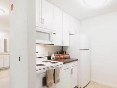 招租 - Mountain View 小区 - 3B2B 阳