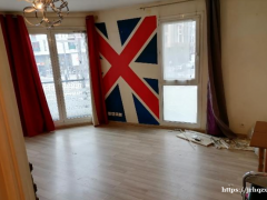 94省二楼两房一厅55m2 住房面积出租，