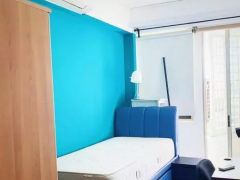 NOVENA ● BALESTIER 泳池公寓 SGD 90