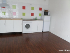 离13区华人区5分钟 - 新STUDIO30平中央供暖家具齐