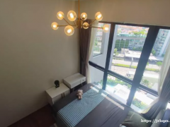 波东巴西地铁口 豪华公寓 无边泳池 落地大窗 可报地址 无屋