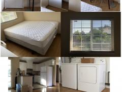 $700北圣荷西房间出租