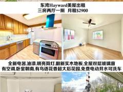 东湾Hayward美屋出租,三房两厅一浴, $2900.