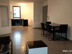 注意⚠️在“图卢兹”城市！！！新房出租