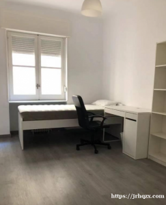 马德里治安最好的salamanca富人区房屋出租