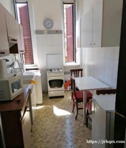 近米理两室，可住三人，二楼无电梯，1045包物业水