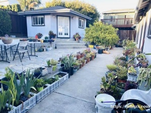 Millbrae有独立出入的studio