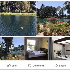 半岛foster city, 湖边别墅，安静优雅，单间出租，拎包入住