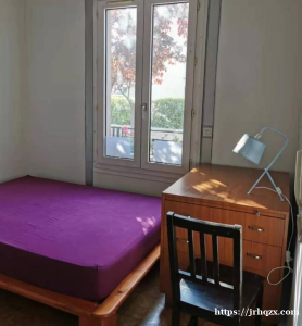 别墅内一房间出租 地铁maisons alfort stade 100 米