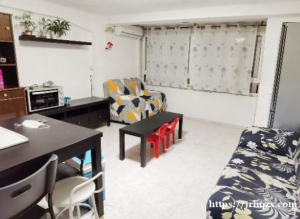 USERA大街套房出租