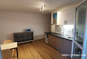 Noisy le grand 刚翻新完工的底楼分租公寓招租啦！