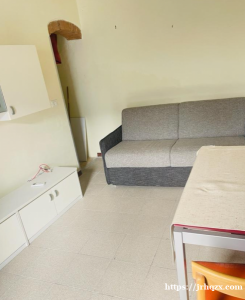 maliseti邮局附近落地房一房一厅首租