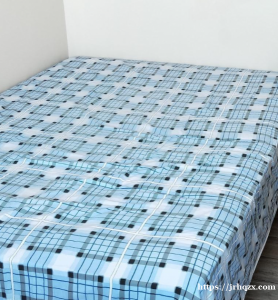 92区 Esplanade de La Defense Courbevoie 套房分租爱干净的女生