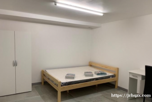 大巴黎94省Vitry,女生合租,允许宠物,两房一厅42平方 已经有一个中国女学