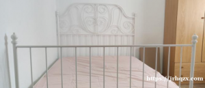 Alcala【房东直租】阿尔卡拉大学，好房出租，特价350